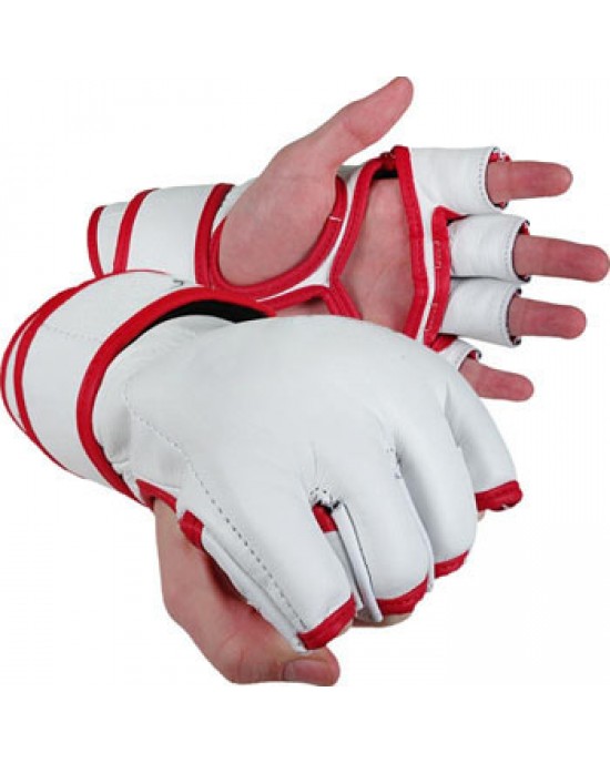 MMA Gloves