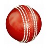 Cricket Balls