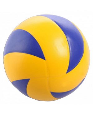 Volley Ball